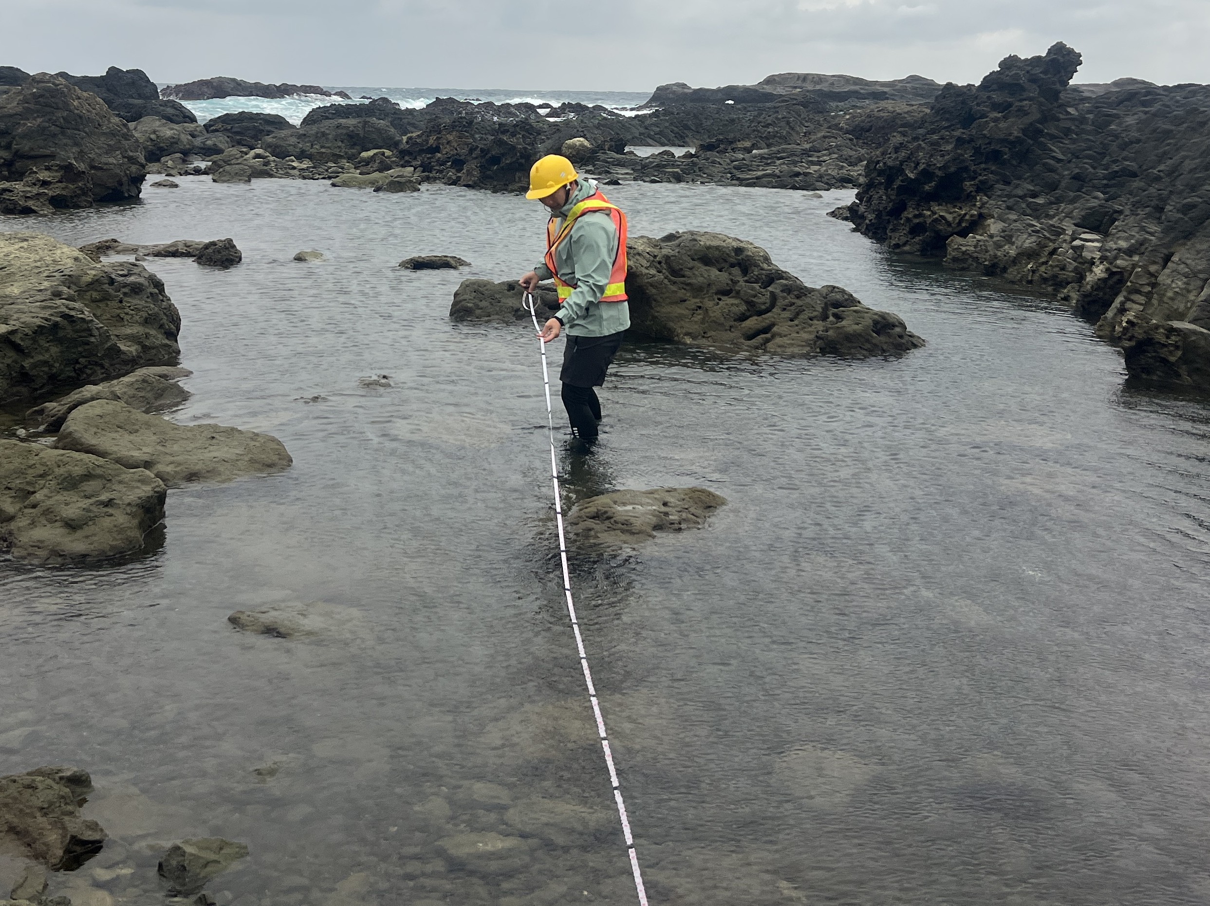 海域生態調查人員於作業船上進行漁具檢視與海洋生態紀錄