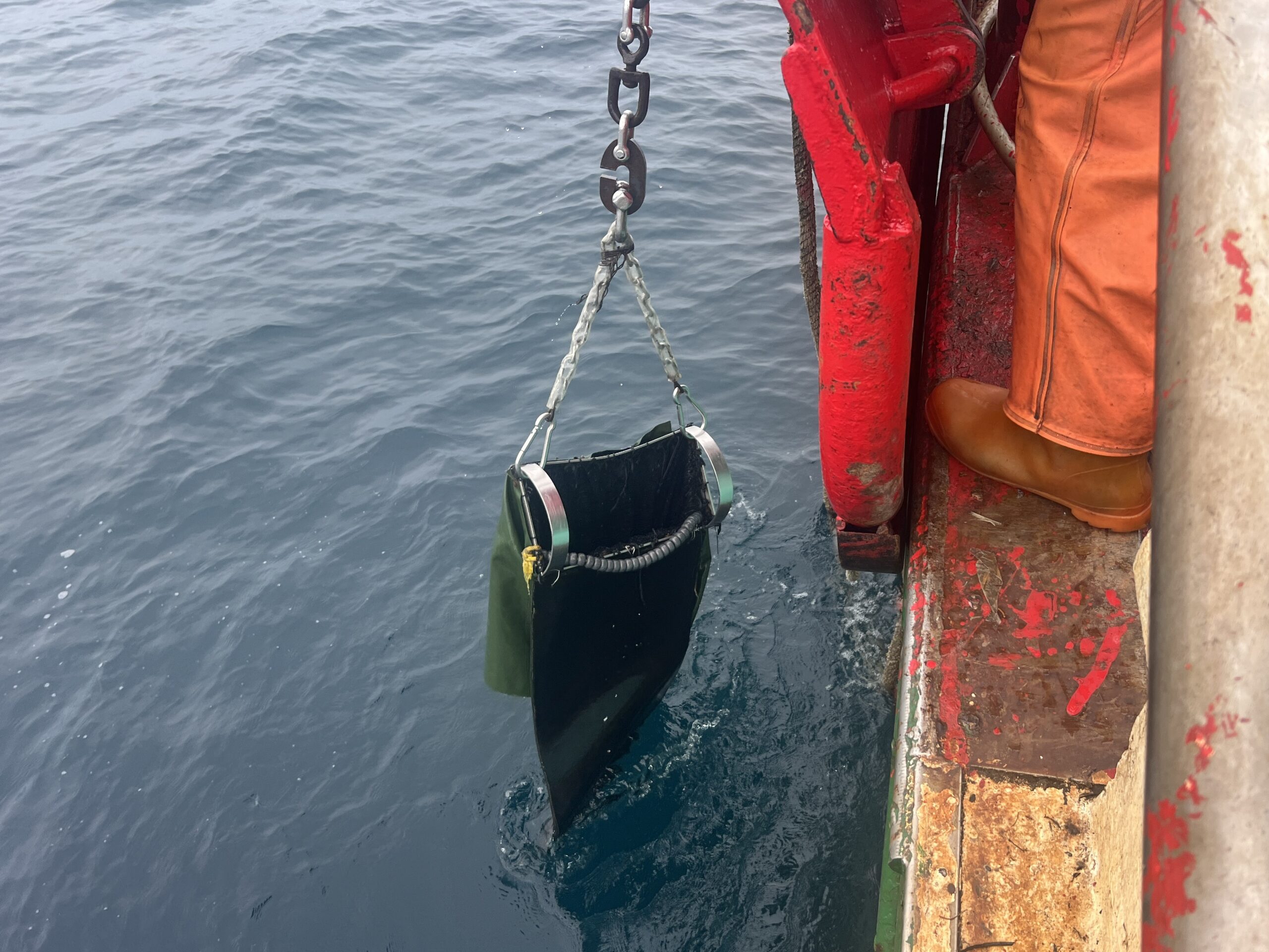 海域生態調查人員於作業船上進行漁具檢視與海洋生態紀錄