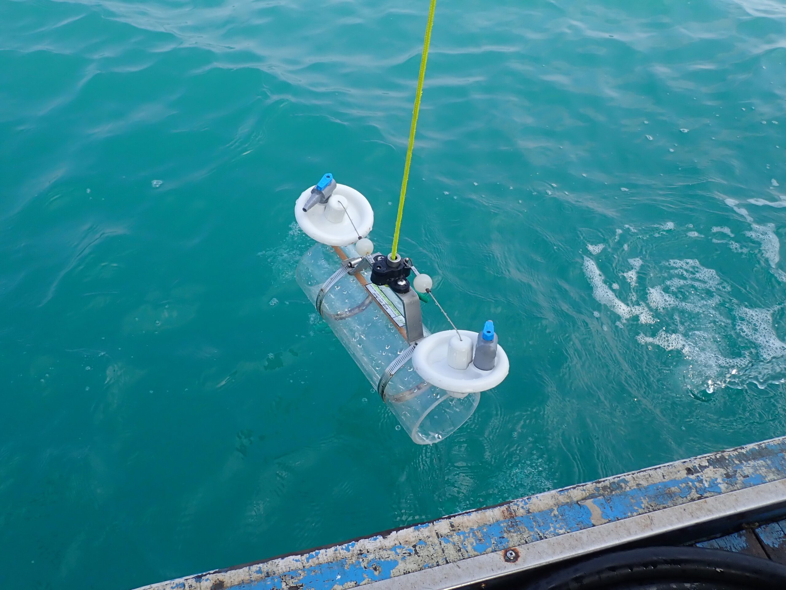 海域生態調查人員於作業船上進行漁具檢視與海洋生態紀錄