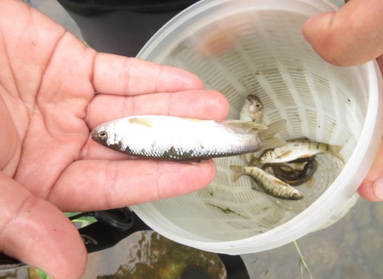 海域生態調查人員於作業船上進行漁具檢視與海洋生態紀錄